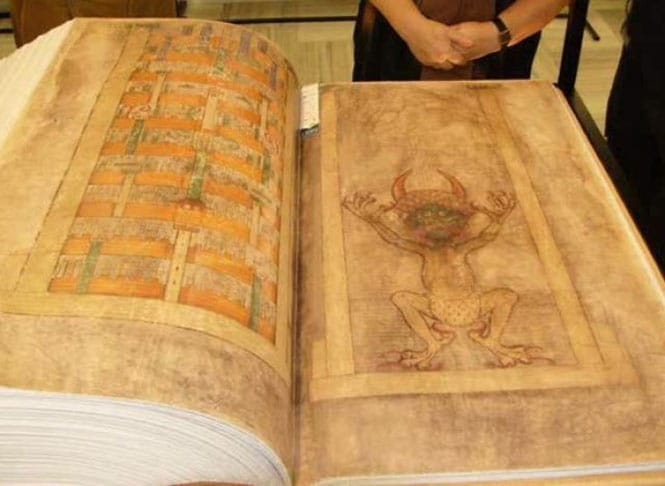 kwdikas-gigas-2