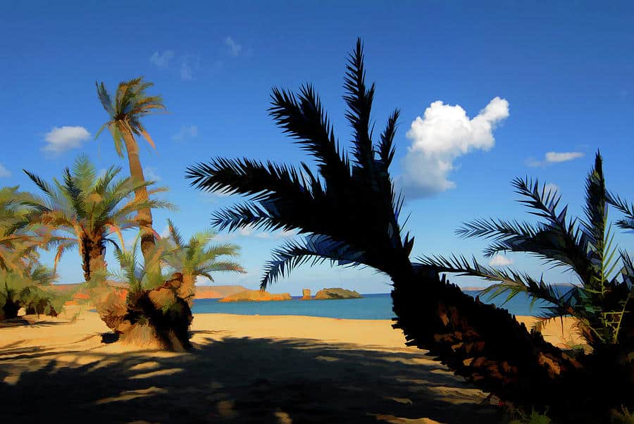 palm-beach-vai--crete-manolis-tsantakis