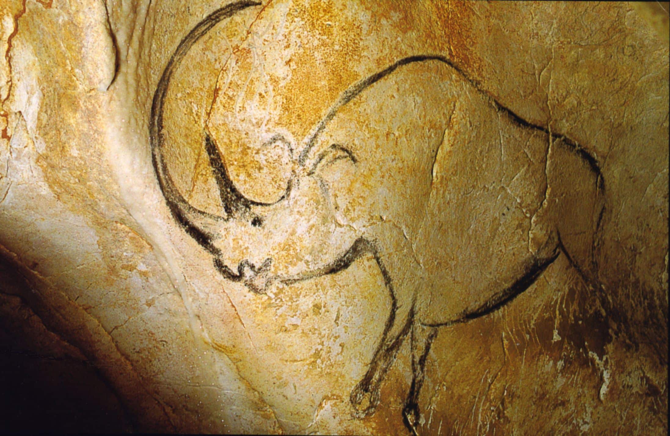 Rhinocéros_grotte_Chauvet