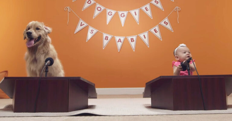 Σκυλάκια και μωράκια ανεβαίνουν στο βήμα. Δείτε τι θα κάνει ένα από τα κουταβάκια!