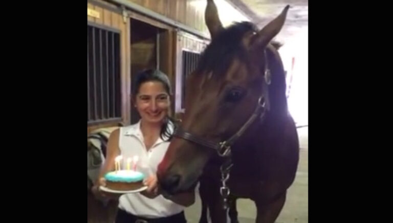 Έφεραν μια τούρτα και τραγούδησαν στο άλογο τους το “Happy Birthday” και τότε αυτό έκανε κάτι ξεκαρδιστικό!