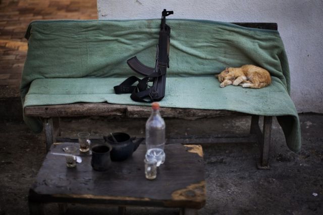 the_top_animal_photographs_of_2012_640_14