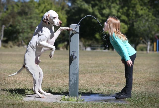 the_top_animal_photographs_of_2012_640_39