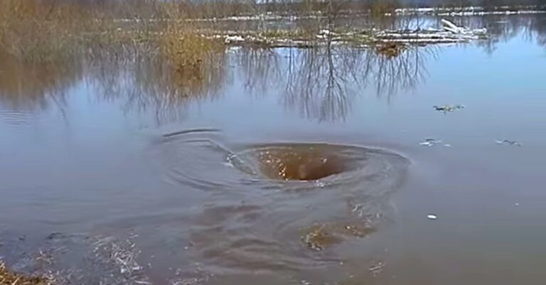Φαίνεται σαν μια συνηθισμένη ρουφήχτρα, αλλά αυτό που γίνεται εκεί είναι απίστευτο!