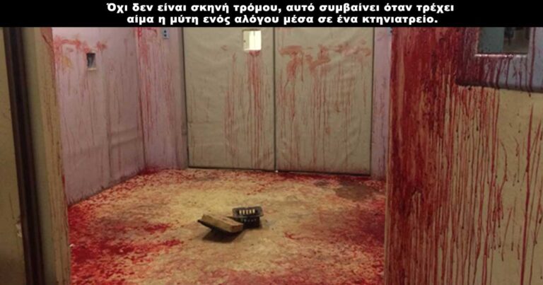 20 φωτογραφίες με πολύ μεγάλο ενδιαφέρον