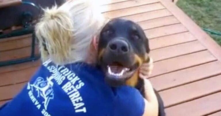 Δείτε πως κάνει αυτό το Ροτβάιλερ όταν το αγκαλιάζουν! Δεν έχετε ξανακούσει σκύλο να κάνει έτσι!