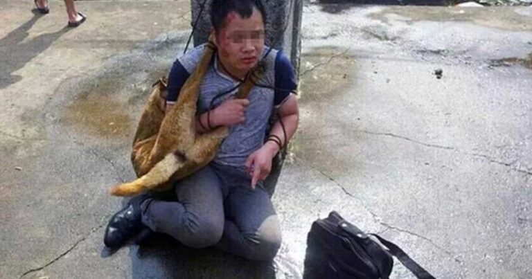 Απίστευτα βασανιστήρια στην Κίνα για δολοφόνους σκυλιών