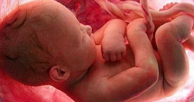 Οι 5+4 αλήθειες για τα έμβρυα που θα σας εκπλήξουν