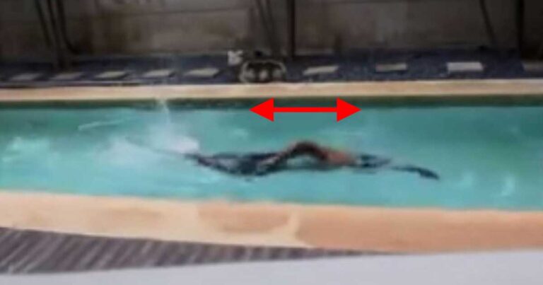 Πώς θα φτιάξετε μια “ατελείωτη” πισίνα κολύμβησης!