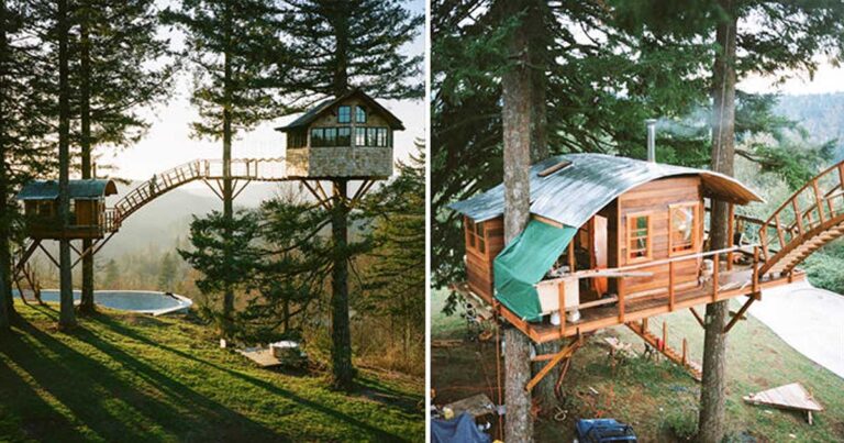 Παράτησε την δουλειά του για να χτίσει ένα τεράστιο δενδρόσπιτο! Τώρα ζει εκεί ευτυχισμένος!