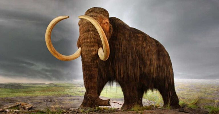 20 πολύ συναρπαστικά πράγματα που δεν γνωρίζατε