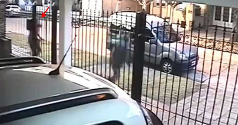 Δείτε τι έκανε αυτή η γυναίκα και ένας τσαντάκιας τα έβαλε στα πόδια!