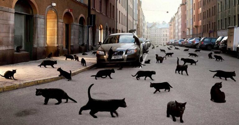 20 προλήψεις που πιστεύουν στην Ρωσία και θα κάνουν το μυαλό σας να εκραγεί!