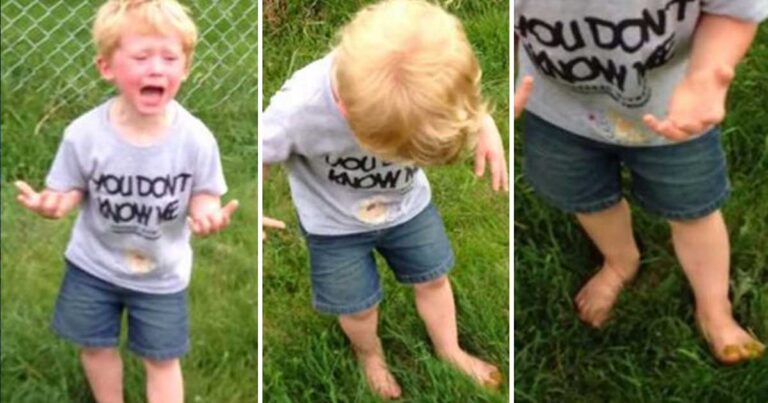 Αυτός ο μικρούλης πάτησε ακαθαρσίες σκύλου! Δείτε την έξαλλη αντίδραση του!