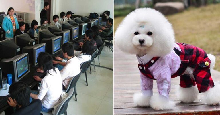 10 θεότρελοι τρόποι που μερικά άτομα βγάζουν τρελά χρήματα!