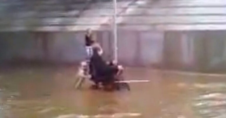 Ένας σκύλος-διασώστης σώζει το αφεντικό του από την πλημμύρα!