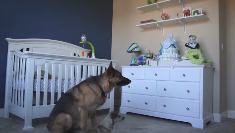 Έφτιαξε ένα βίντεο ημερόλογιο για την εγκυμοσύνη της γυναίκας του. Δεν περίμενε όμως ότι θα συνέβαινε αυτό.