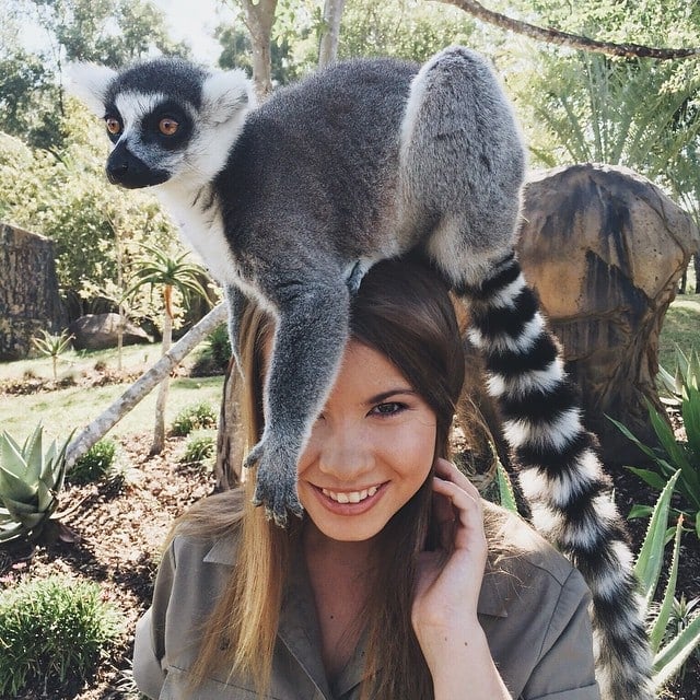 16 year old bindi irwin crocodile hunter fathers legacy australia zoo 1