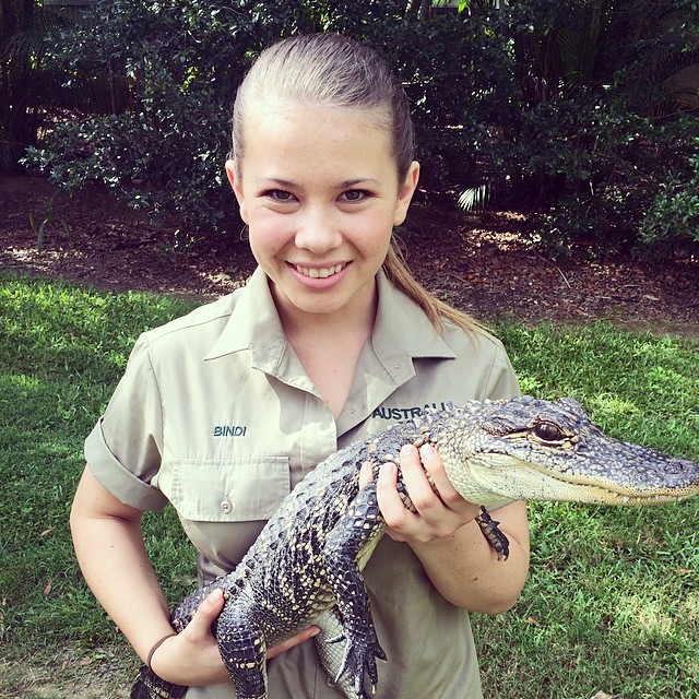 16 year old bindi irwin crocodile hunter fathers legacy australia zoo 2