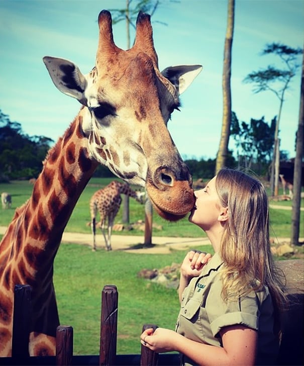 16 year old bindi irwin crocodile hunter fathers legacy australia zoo 6