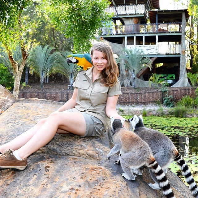 16 year old bindi irwin crocodile hunter fathers legacy australia zoo 9