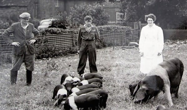 2b.-history-600x354-2