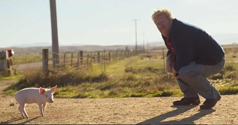 Βρήκε ένα χαμένο γουρουνάκι και προσπάθησε να βρει τον ιδιοκτήτη του. Όταν είδε ποιος ήταν; Tou ράγισε την καρδία…