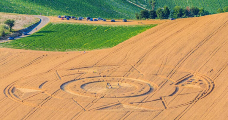Σύμβολο γνωστής μπύρας… “εμφανίστηκε” στο χωράφι ενός αγρότη όταν θέριζε κριθάρι!