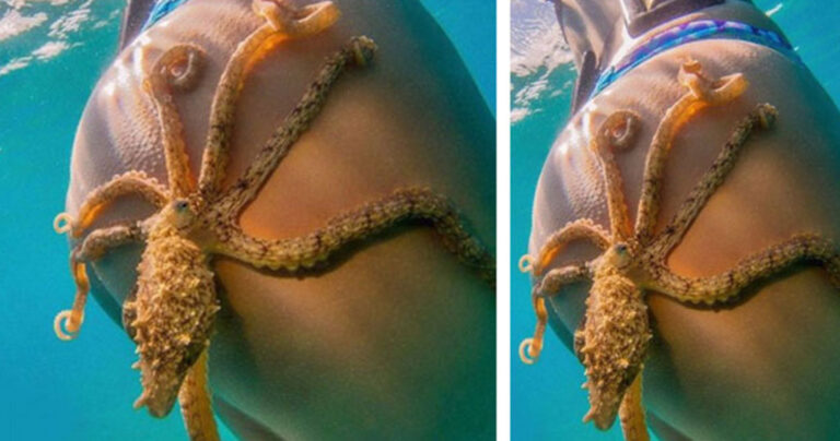 24 παράξενες αστείες και αλλόκοτες φωτογραφίες