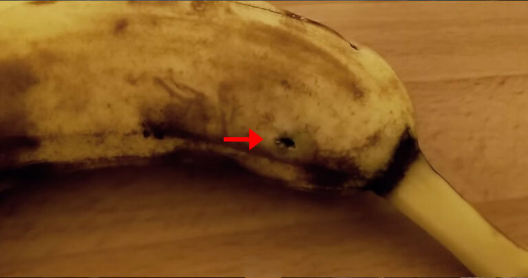 Μετά από αυτό το βίντεο θα ανατριχιάζετε κάθε φορά που βλέπετε μια μπανάνα