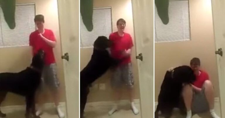 Αυτιστικό παιδί παθαίνει κρίση και ο σκύλος του αντιδράει με τον πιο εκπληκτικό τρόπο