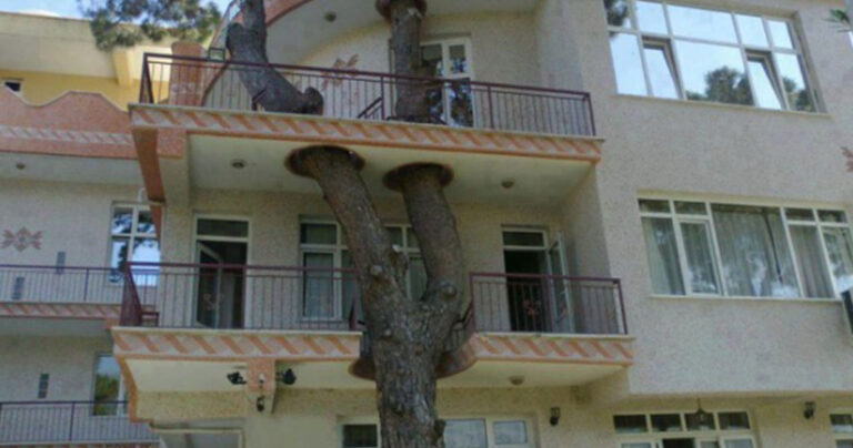 12 περιπτώσεις που ο σύγχρονος πολιτισμός σεβάστηκε την μητέρα φύση