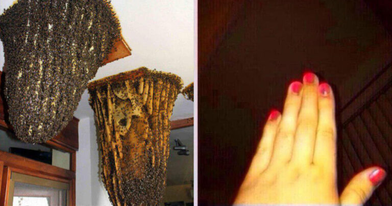 22 φωτογραφίες που θα σας κάνουν να πείτε “όχι, ευχαριστώ!”