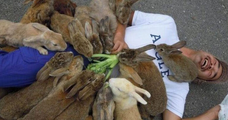 30 «ευτυχισμένες» φωτογραφίες που θα σας φτιάξουν την διάθεση θετικά!