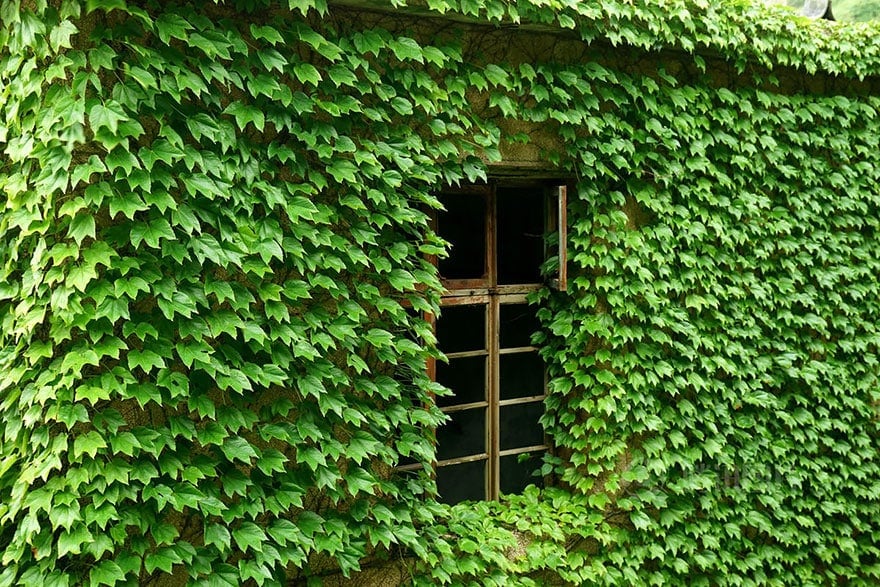 abandoned-village-zhoushan-china-108