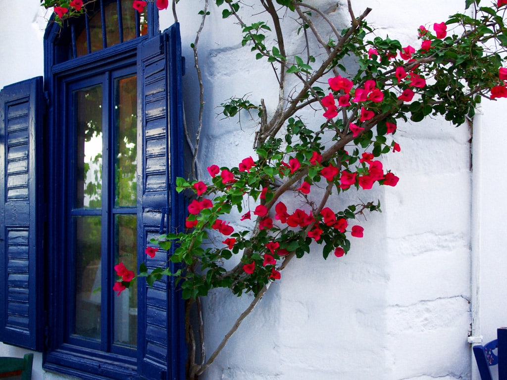 amorgos