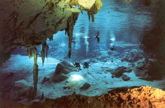 http://www.cenotedosojos.com/images/cenote_dos_ojos.jpg