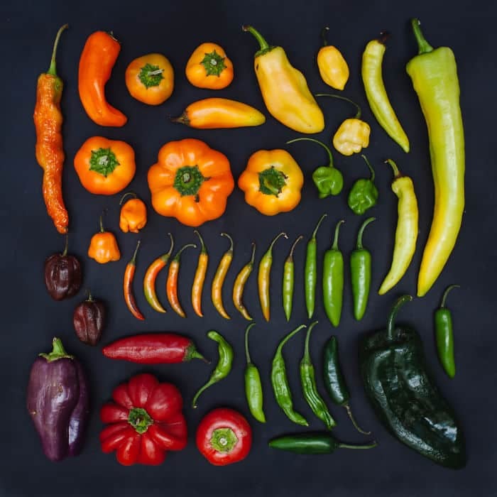 everyday-objects-arrangements-emily-blincoe-14