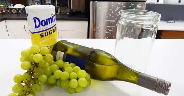 grapesthumb 600x313 1