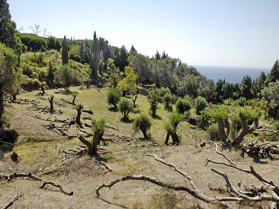 history2 corfu paradise mathraki island