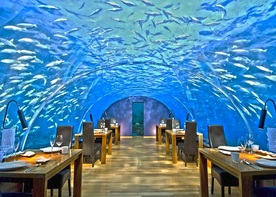 http://www.highstakesliving.com/wp-content/uploads/2014/10/ithaa-underwater-restaurant.jpg