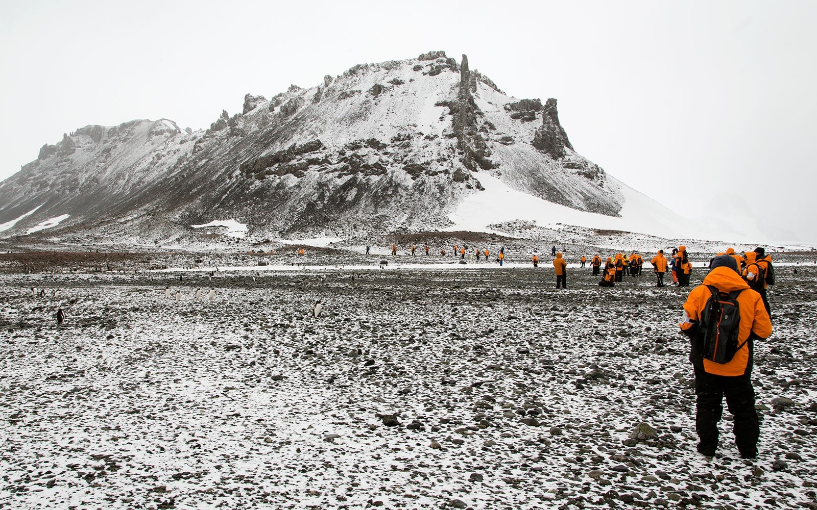 lifetime0615 antarctica