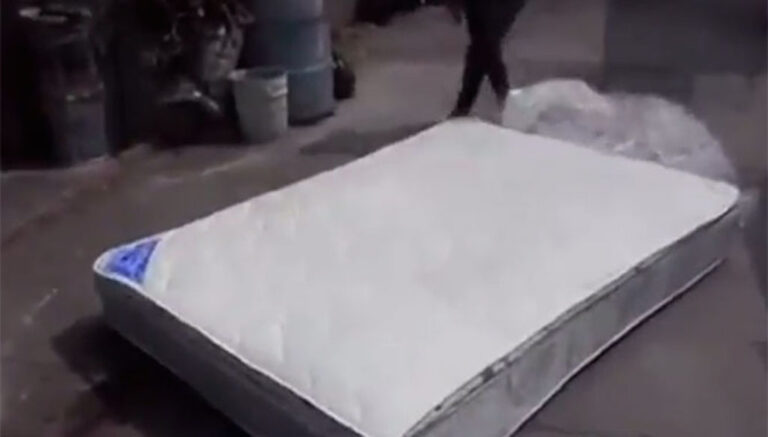 Το νέο τους στρώμα έκρυβε μια σοκαριστική αποκάλυψη!