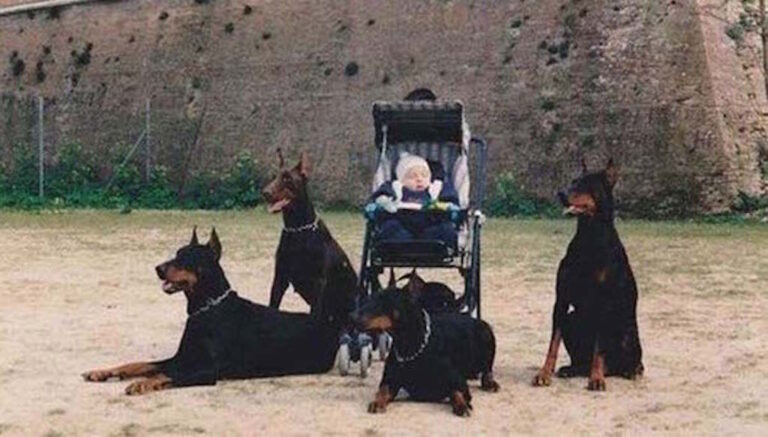 12 εικόνες που δεν βλέπεις κάθε μέρα!