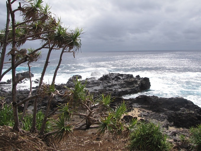 pitcairn blowhole