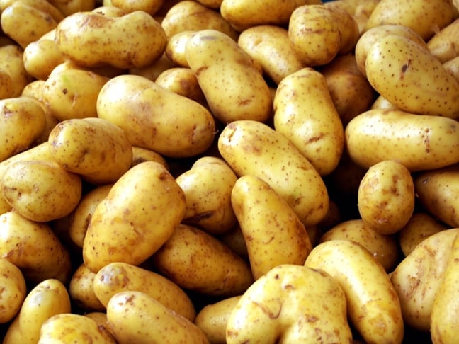 tipeikona9