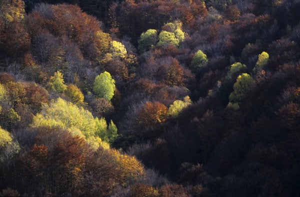 tilestwra.com - Η Ελλάδα μέσα από τα μάτια του WWF!