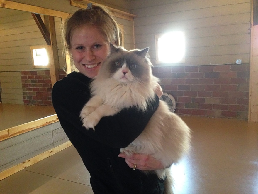 yoga cats shelter adoption homeward bound 1