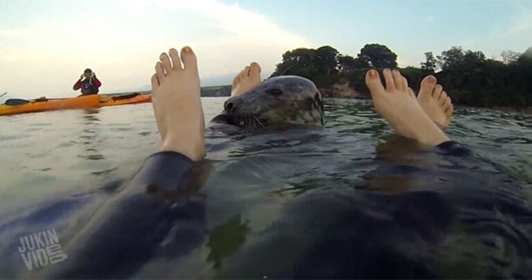 Τα 10 πιο παράξενα και αστεία βίντεο αυτής της εβδομάδας!