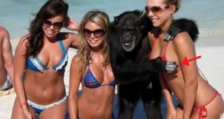 33 παράξενα και αστεία πράγματα που συναντάς μόνο στην παραλία